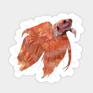 Betta Sticker